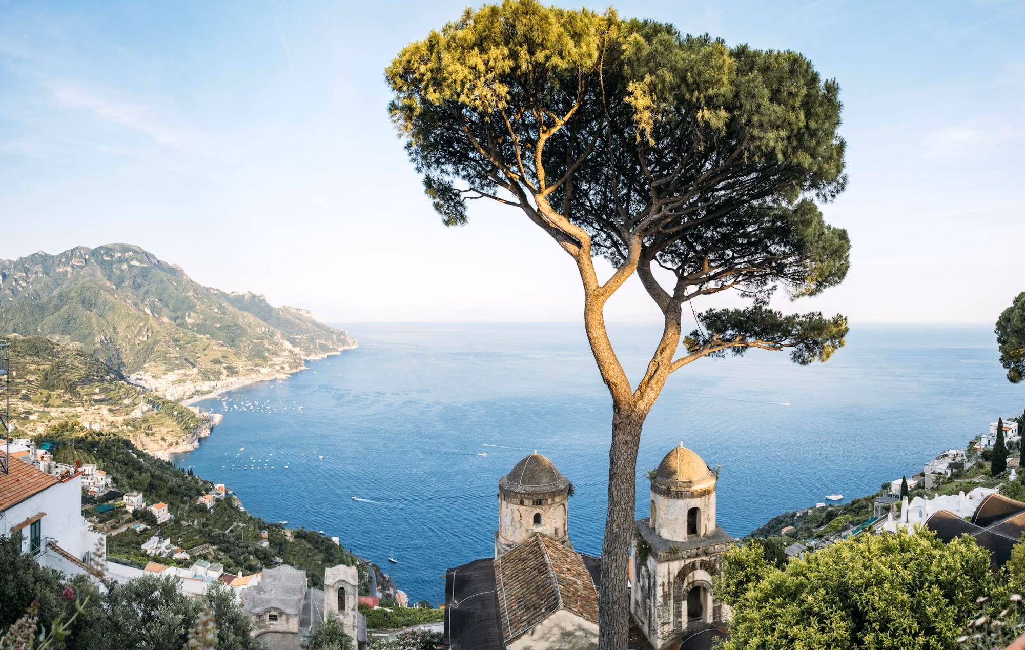 Near Palazzo Pascal: A large tree overlooks the beautiful amalfi coast with buildings