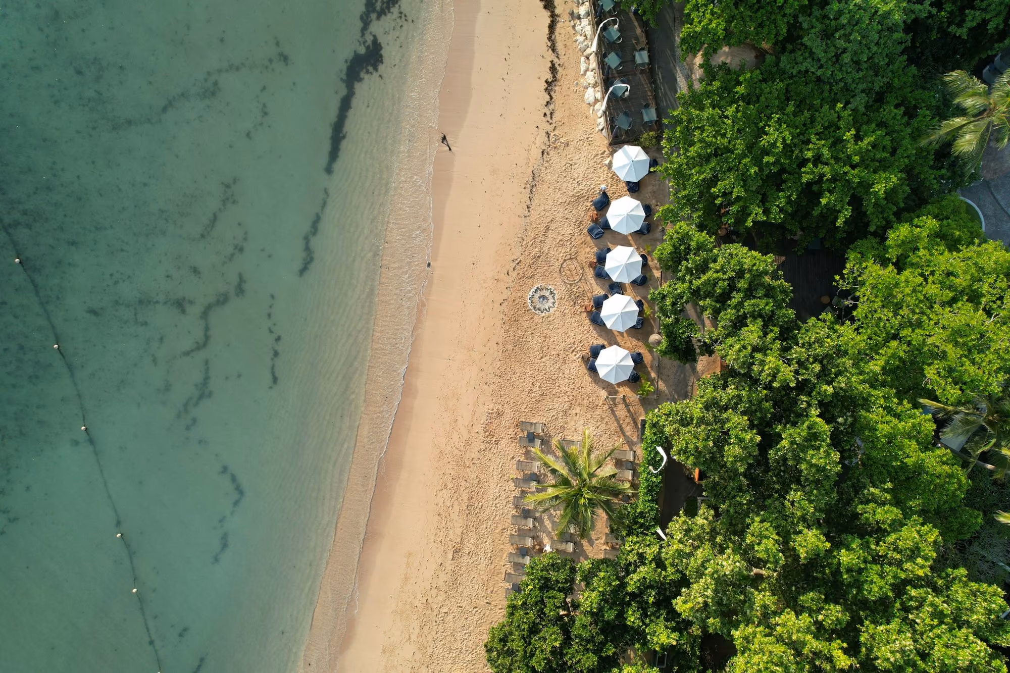 Near The Apurva Kempinski Bali: An aerial view of a beach with umbrellas and trees