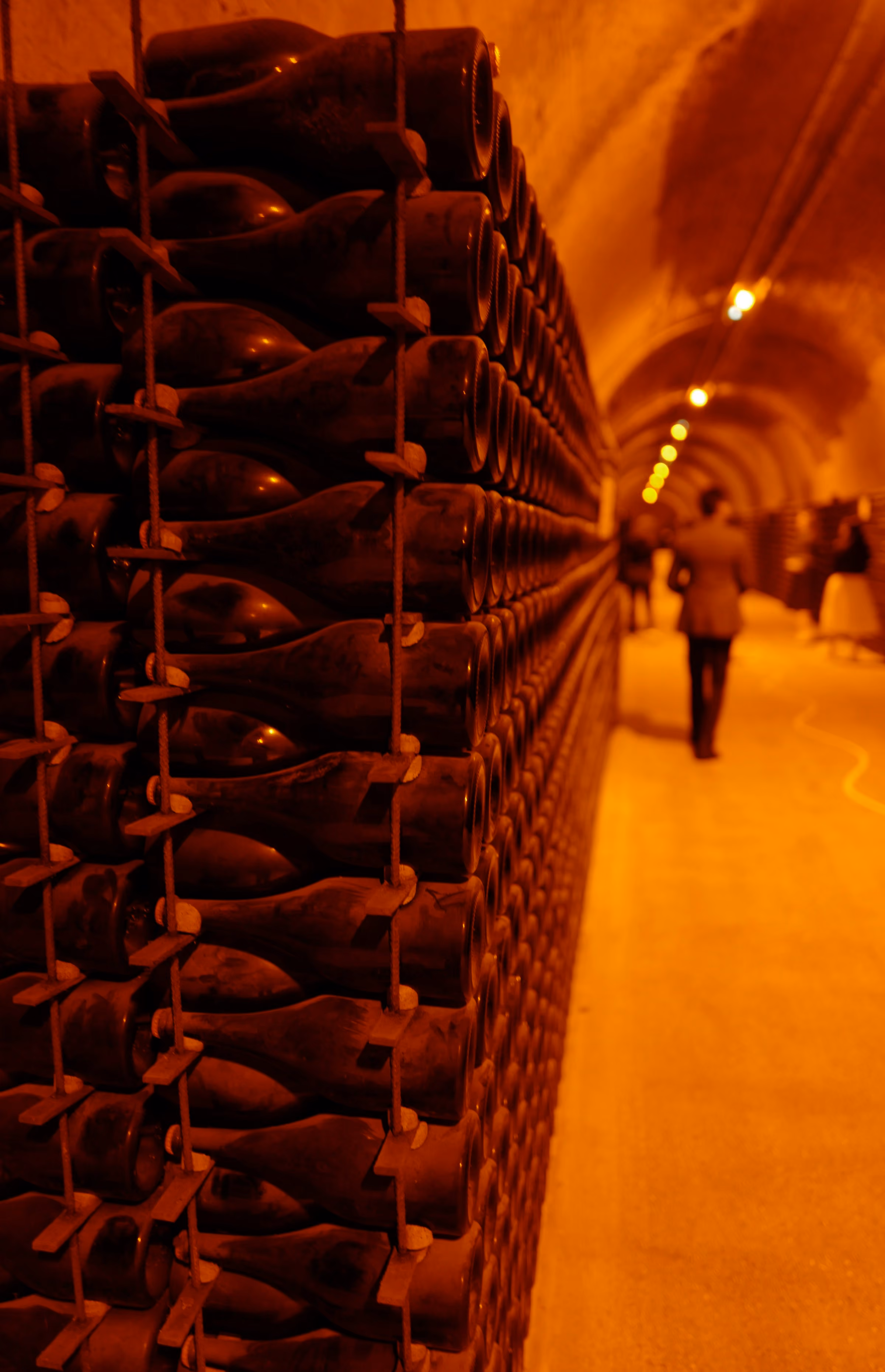 Bottles resting in a chalk cellar tunnel
