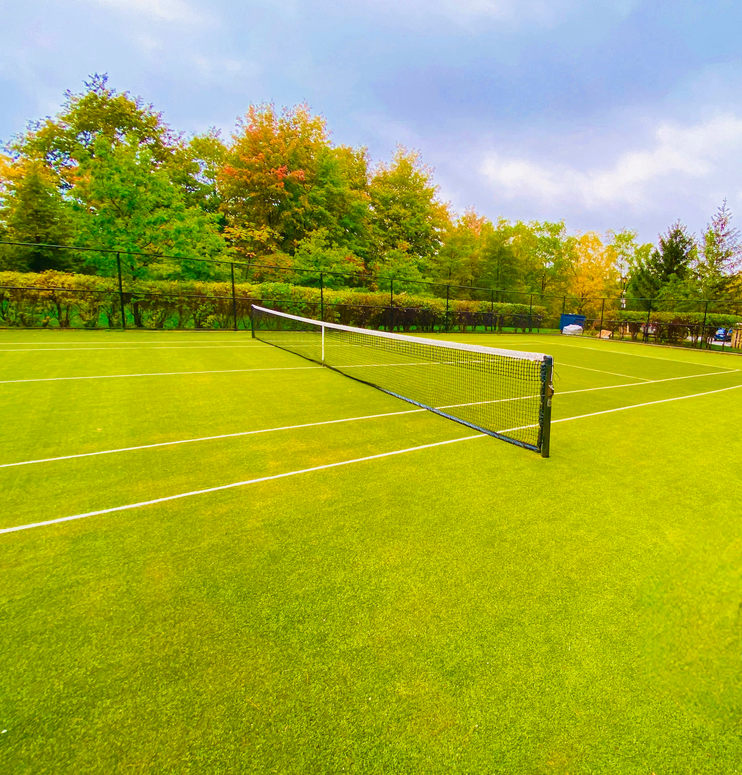 A grass tennis court and net in summer