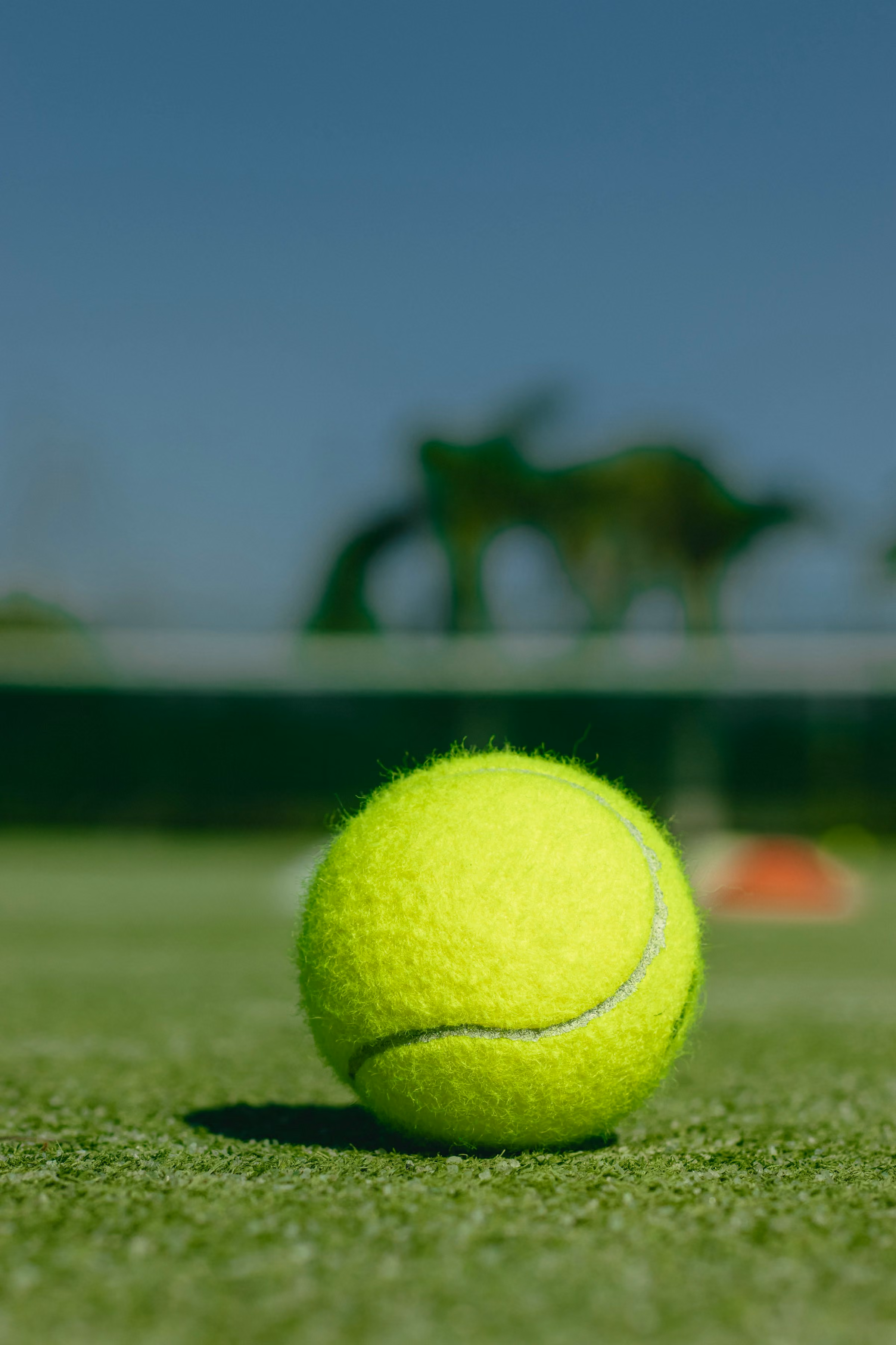 A tennis ball on a grass court