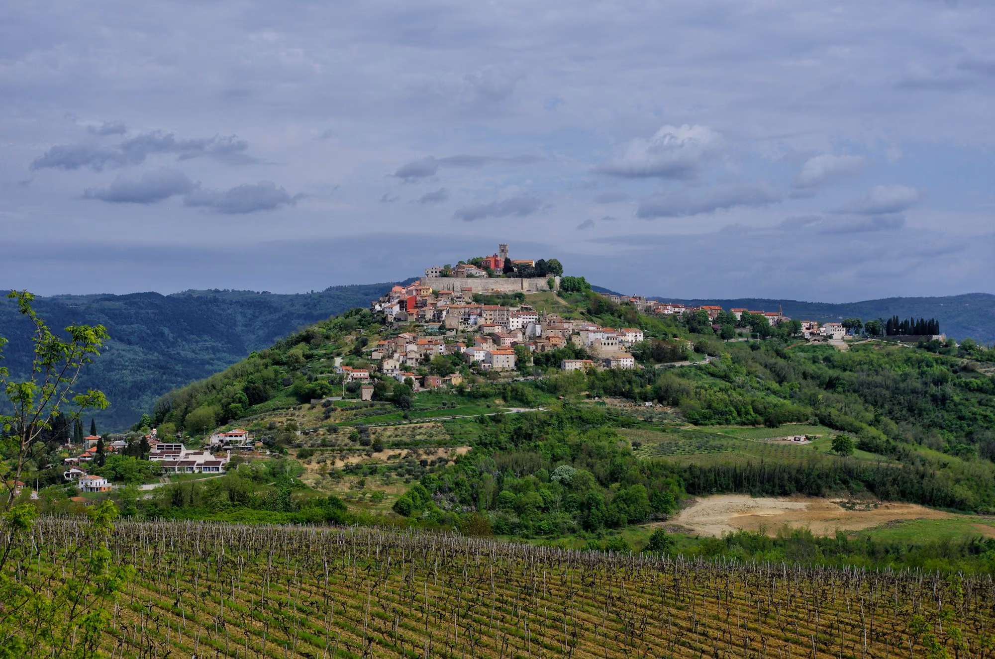 Near San Canzian Hotel & Residences: A historic town sits atop a green hill with vineyards