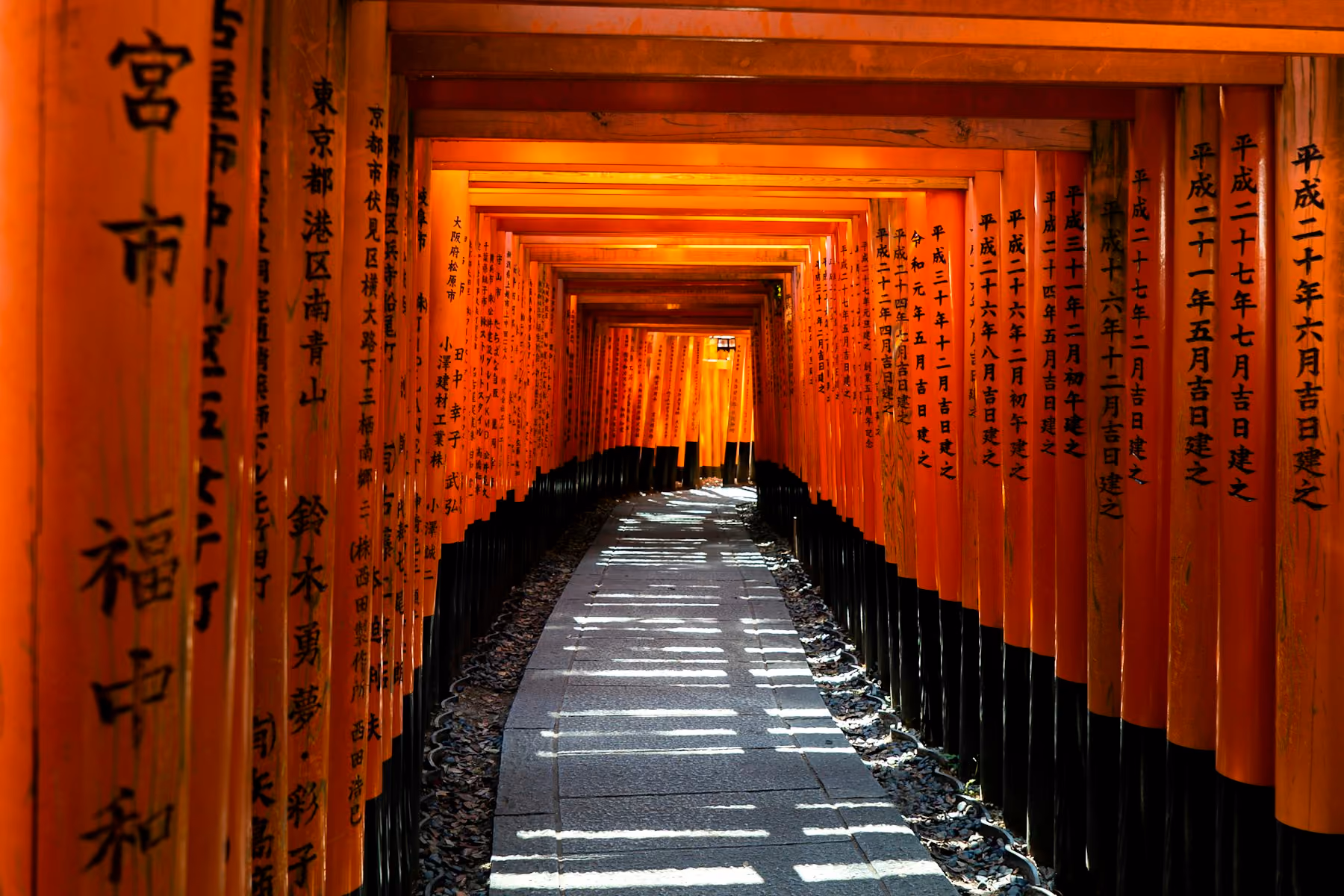 An empty path through the vermilion torii gates of Fushimi Inari