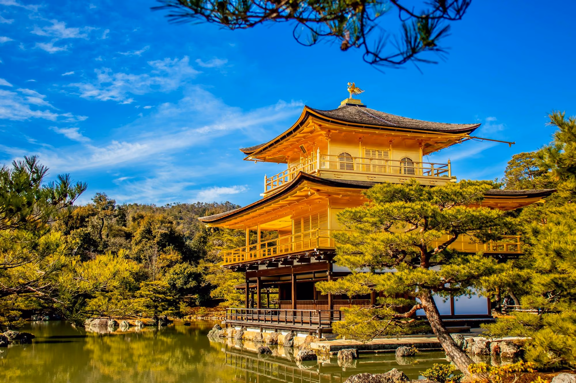 Near Aman Kyoto: brown and white concrete building near green trees and body of water under blue