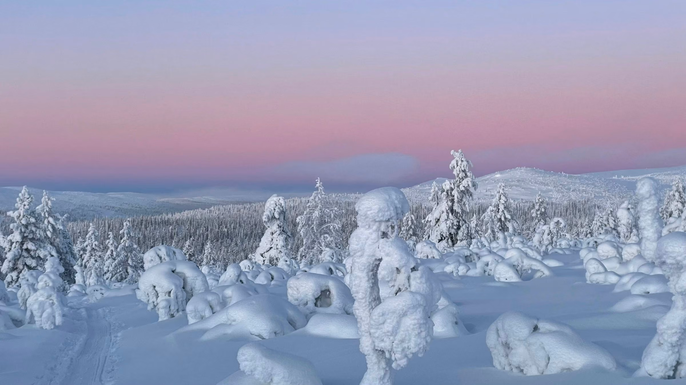Snow-covered trees on a fell under a pink dusk sky