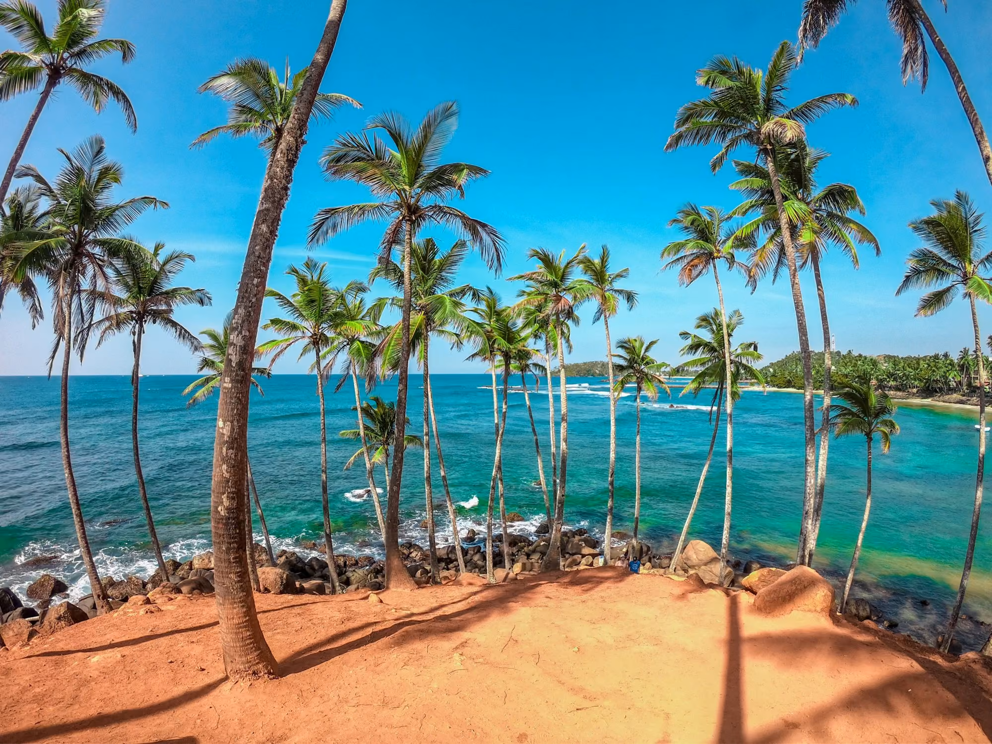 Near Malabar Hill: palm trees on beach shore during daytime
