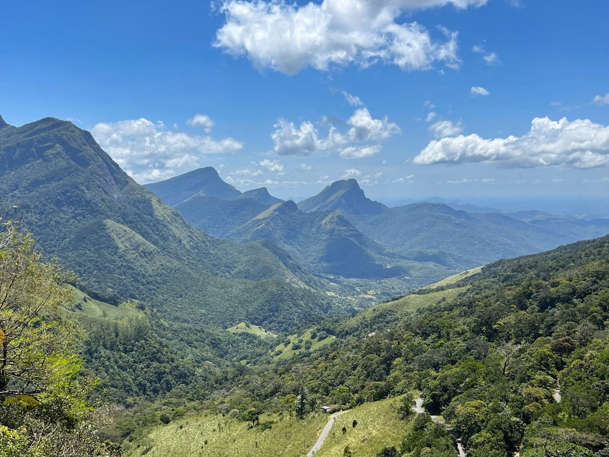 Near W15 Hanthana Estate: a landscape with trees and mountains
