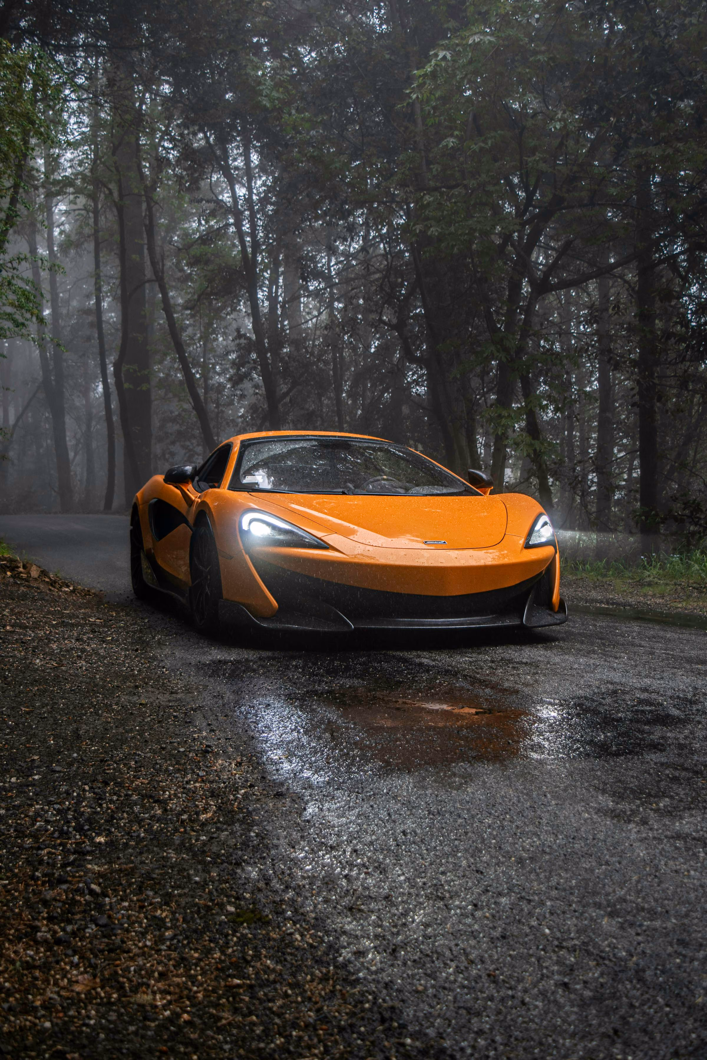 A McLaren supercar on a wet road through dark woods