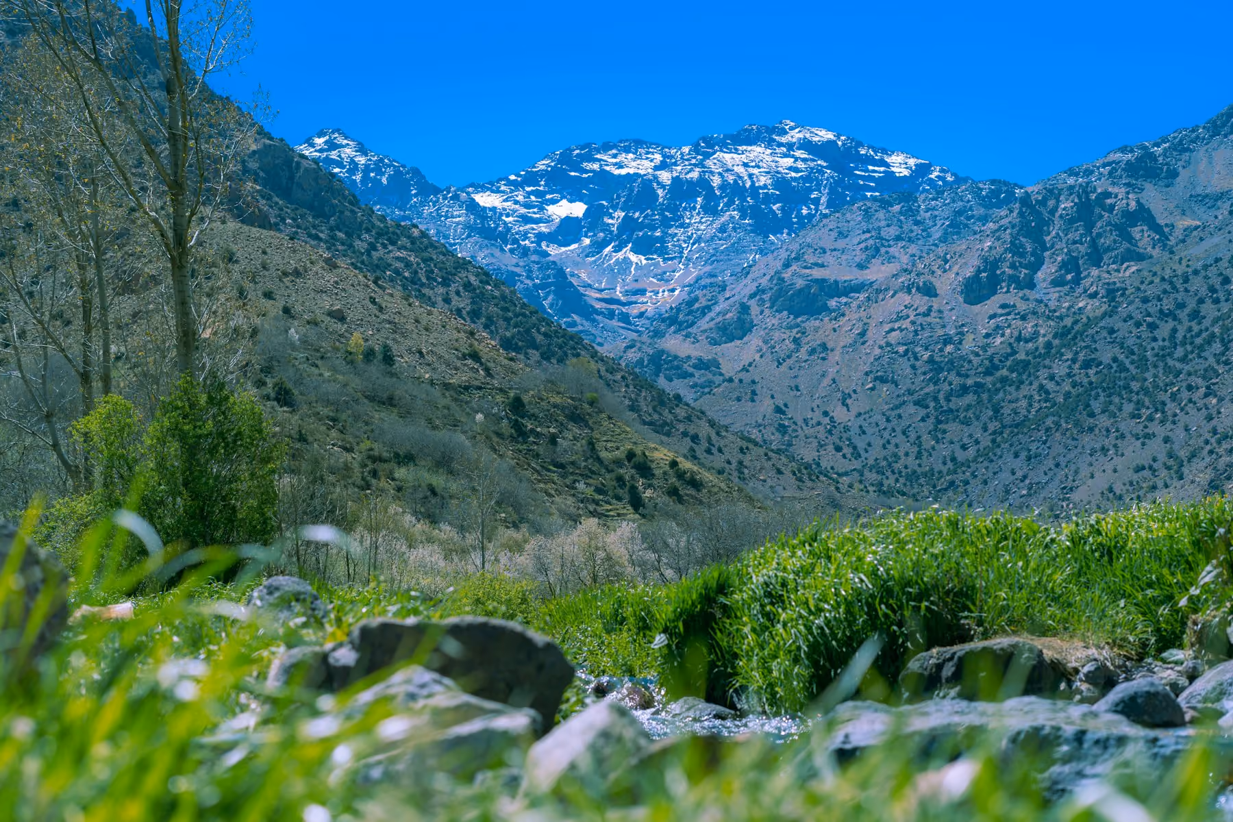 Snow on the High Atlas above a green valley near Imlil, Morocco