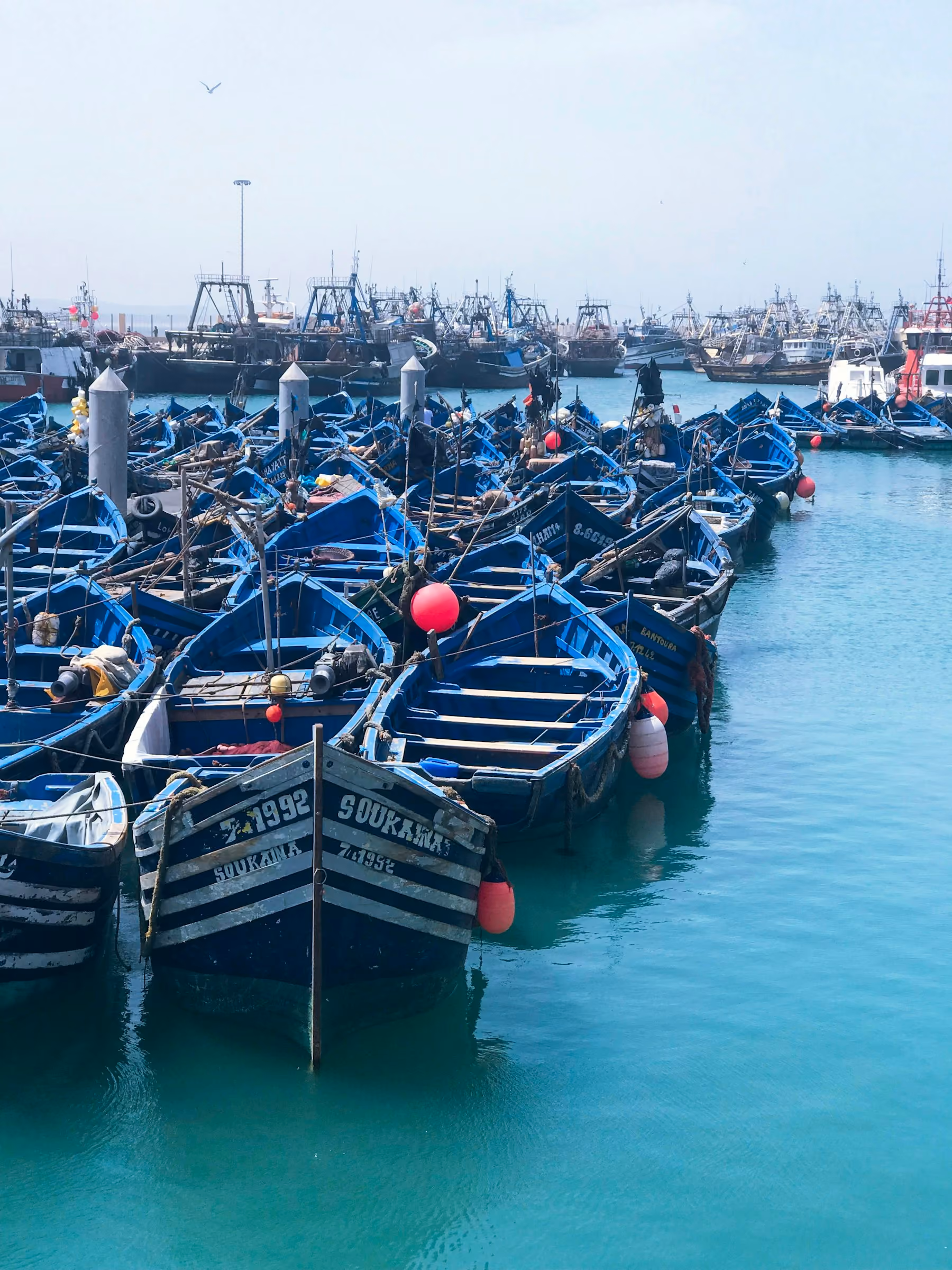 Rows of blue fishing boats moored in the harbour at Essaouira, Morocco