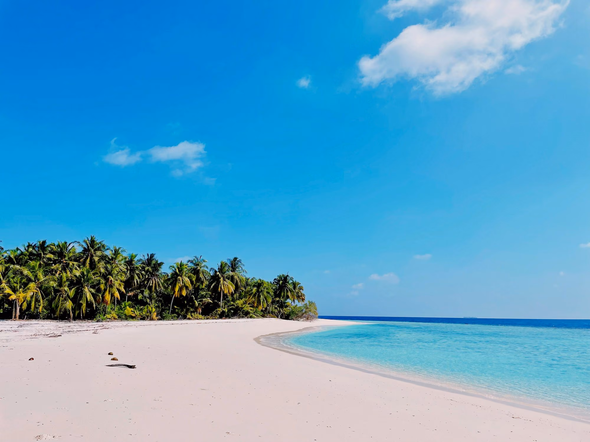 Near Four Seasons Resort Maldives at Kuda Huraa: a white sandy beach with palm trees and blue water