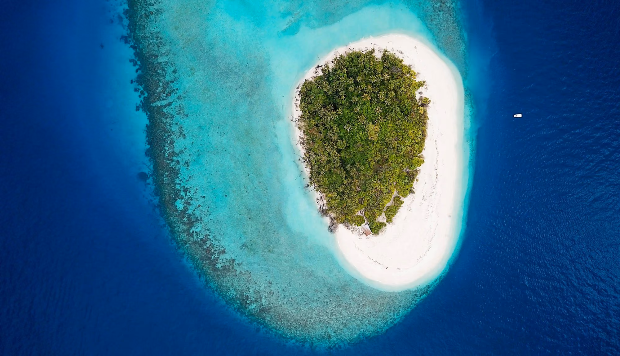 Near Milaidhoo Maldives: aerial view of island