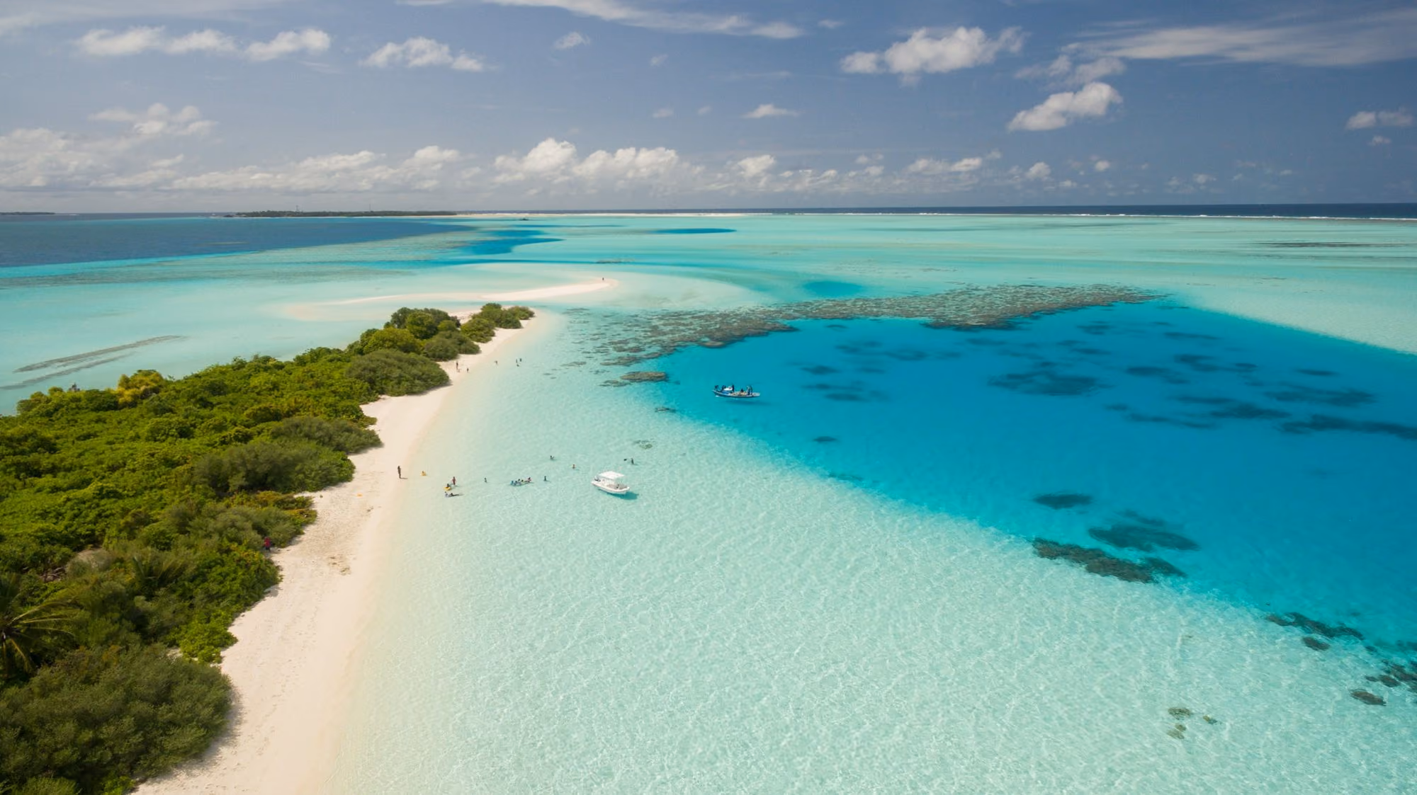 Near OZEN RESERVE BOLIFUSHI: high-angle photography of white boat on blue ocean water near green leafed trees