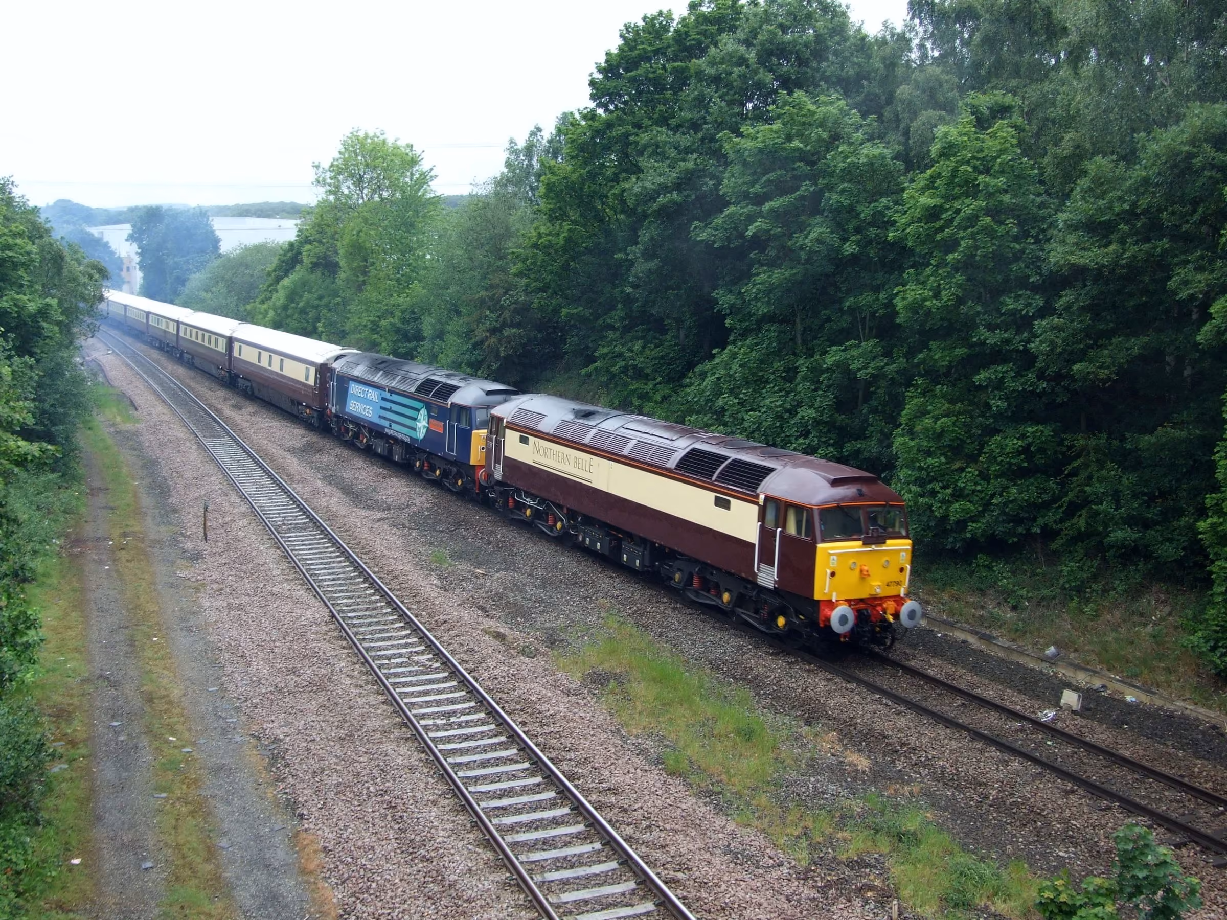 The Northern Belle running through a wooded cutting