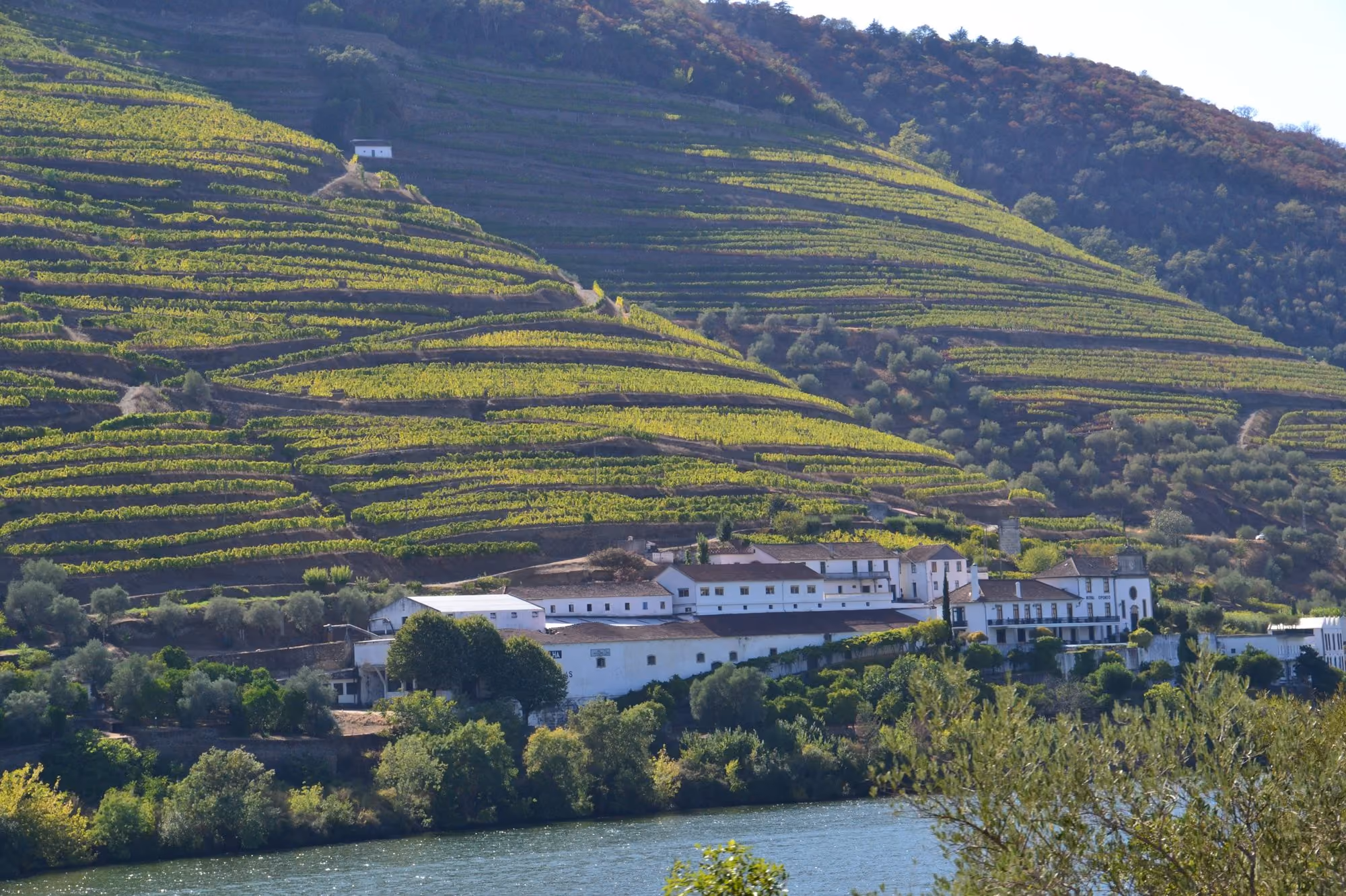 Near Casa da Calçada: a large white building on a hill