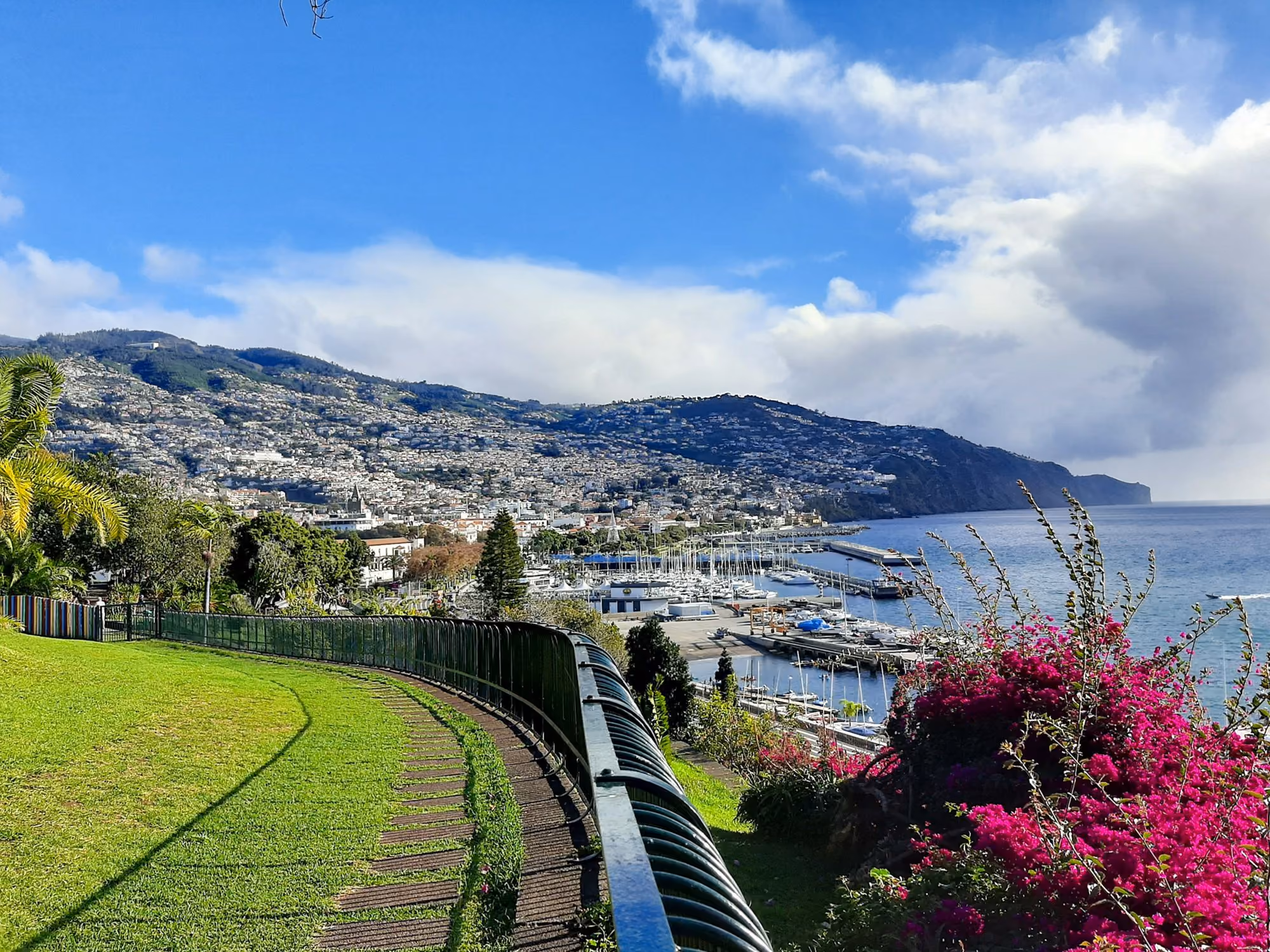Near Reid's Palace, A Belmond Hotel: a scenic view of a city and a body of water