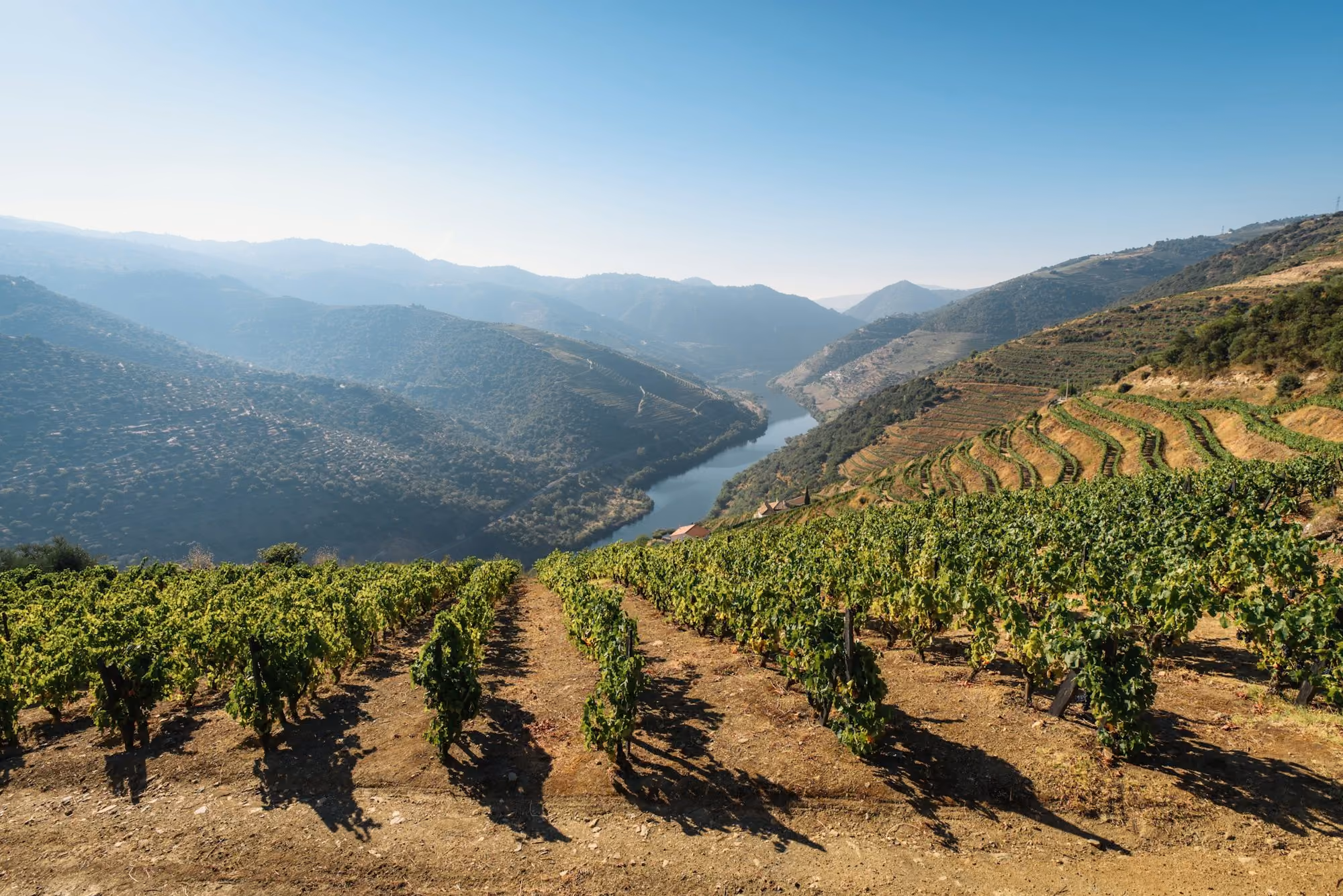 Near Six Senses Douro Valley: green trees on mountain under blue sky during daytime
