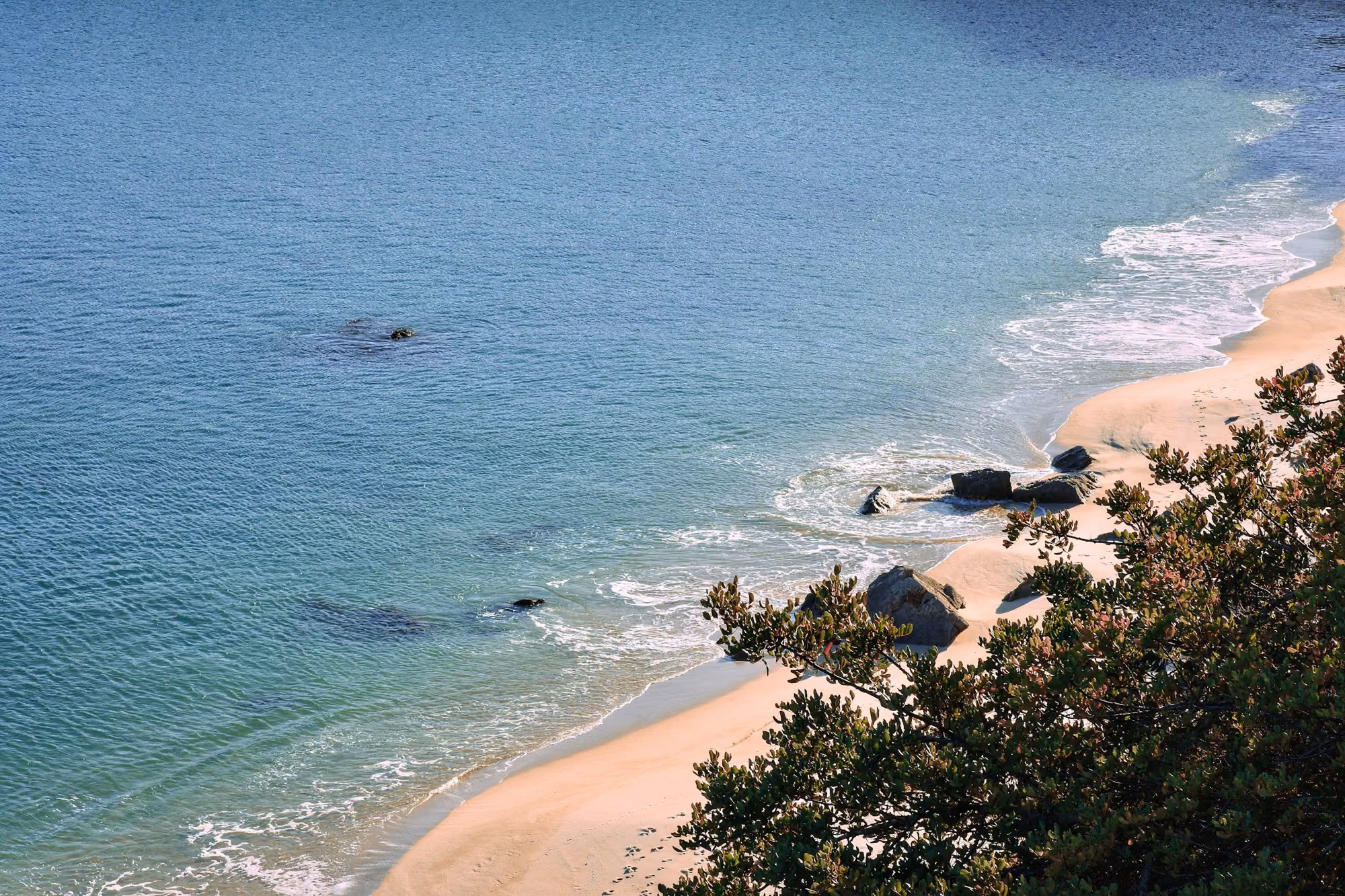 Near Sublime Comporta: a view of a beach with a boat in the water