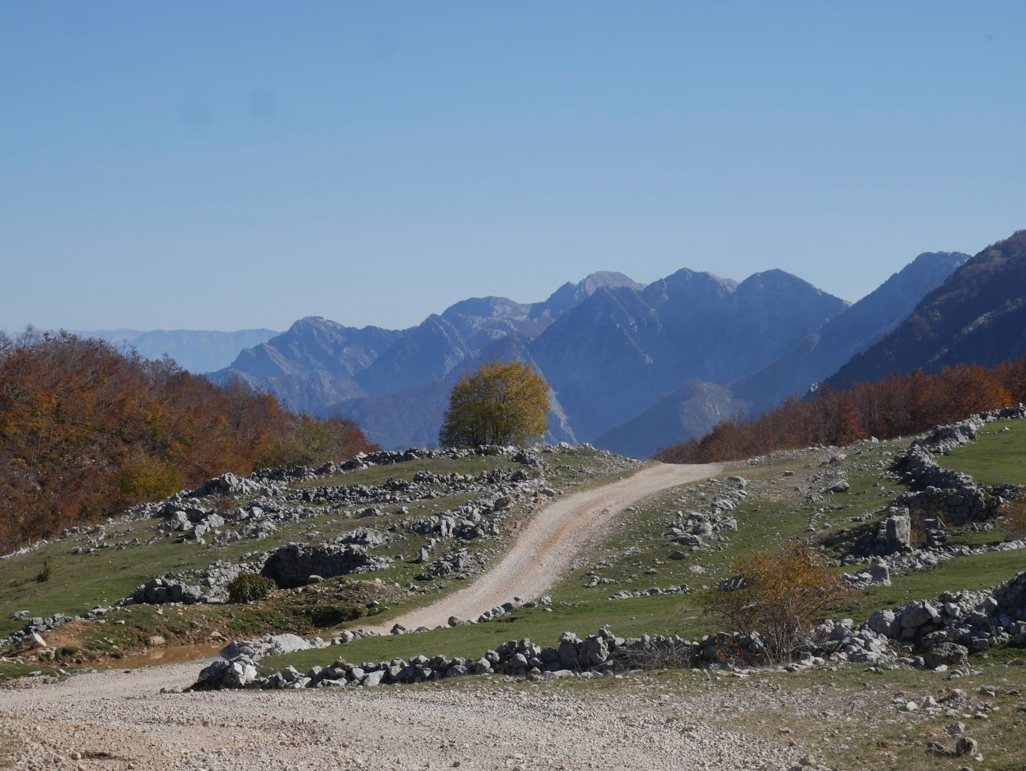 Near Vidago Palace: a rocky hillside with trees and mountains in the background
