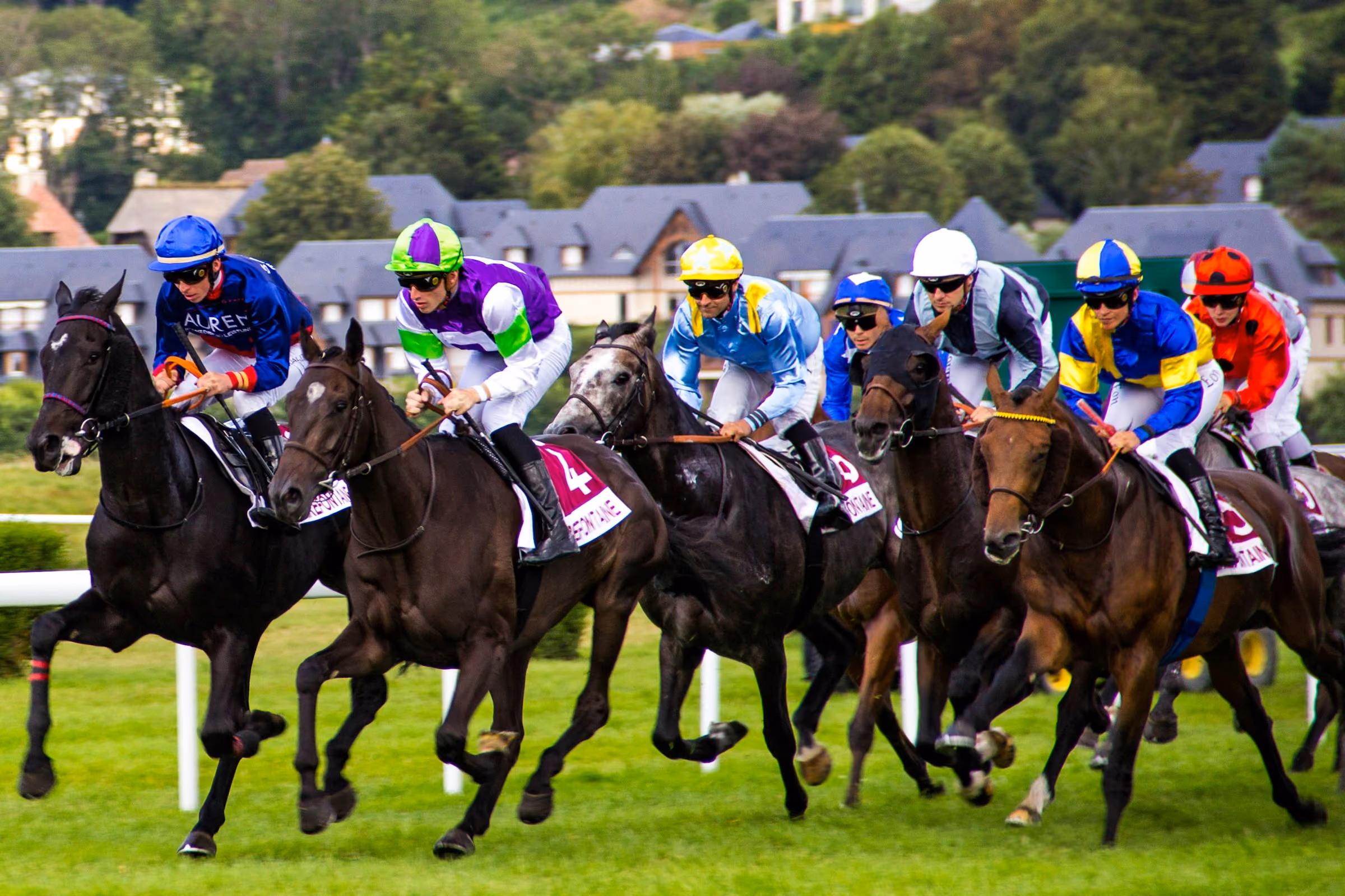 Jockeys in bright silks racing horses on turf
