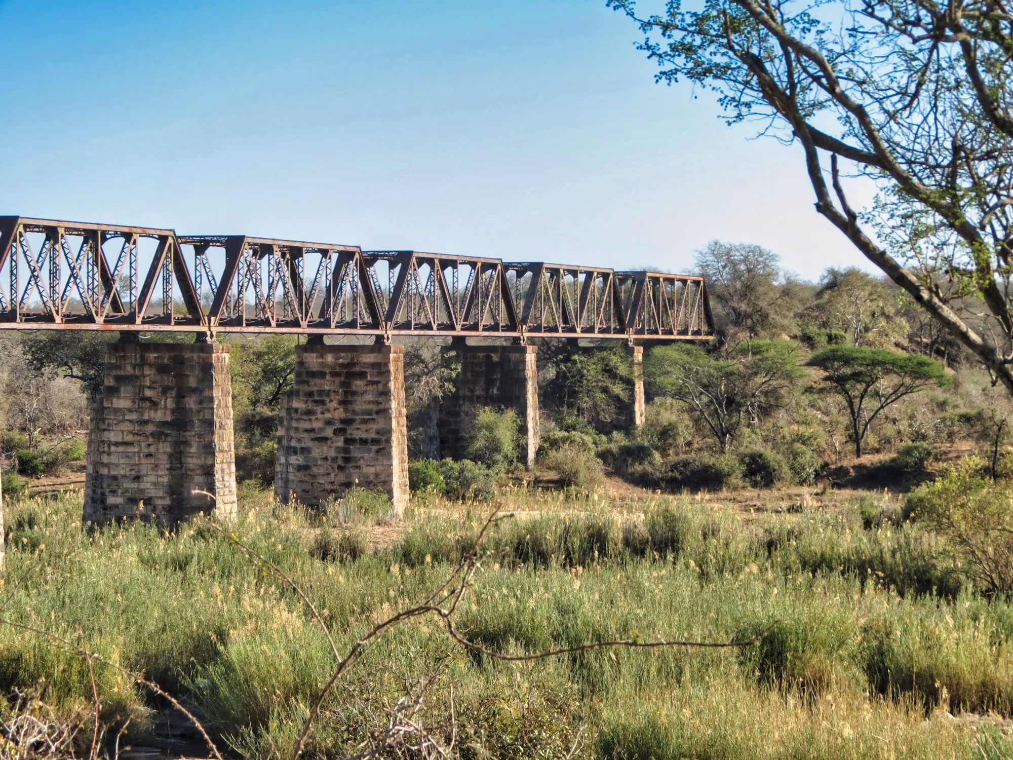 Near Kruger Shalati, The Train on the Bridge: brown wooden bridge over green grass field during daytime