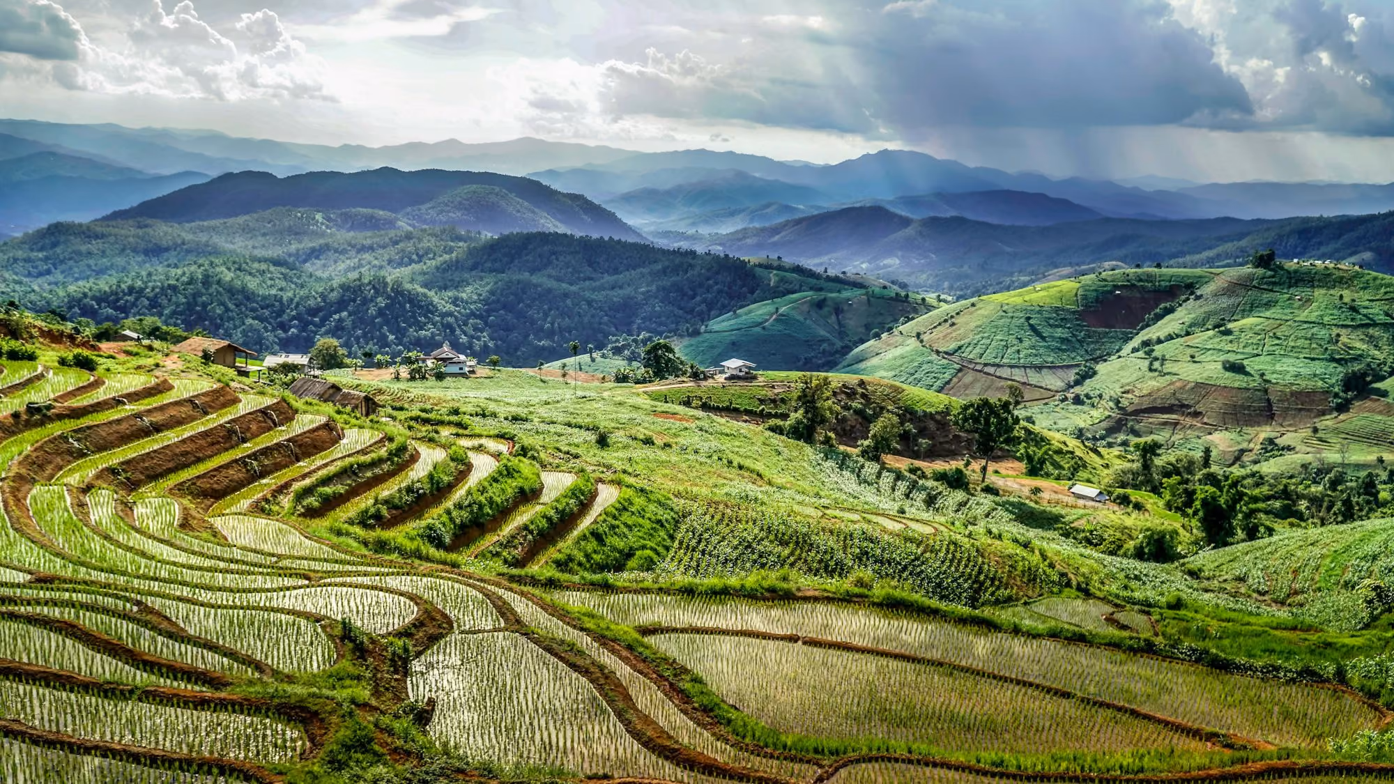 Near Four Seasons Resort Chiang Mai: green grass field under white clouds during daytime