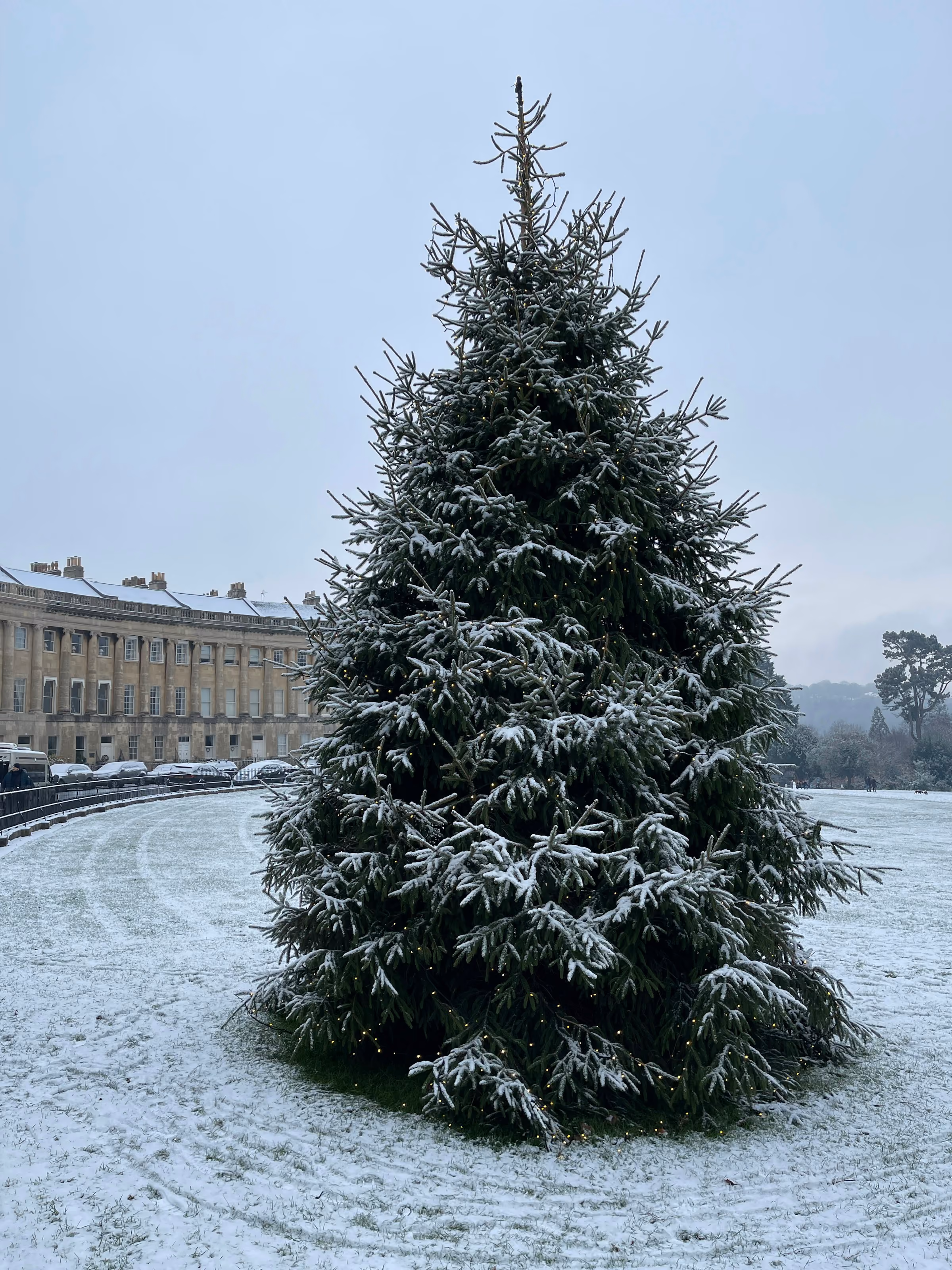 A snowy Christmas tree in front of the Royal Crescent, Bath